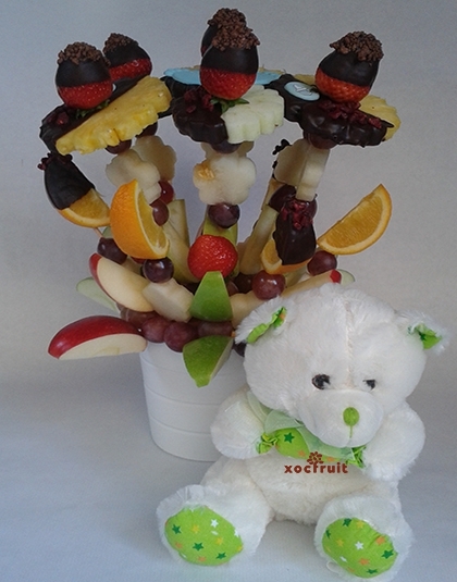 NINU-XOC-PELUIX - Imatge 3